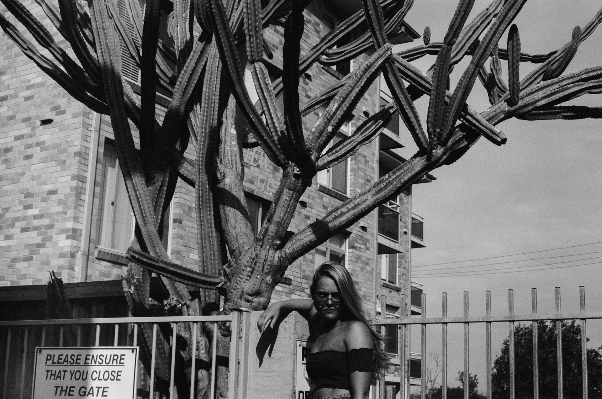 7d0cab100563491.5f0be24f16622