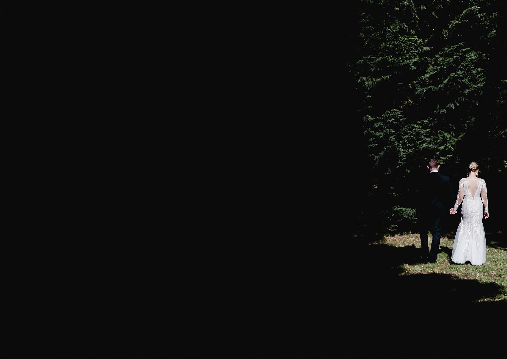 ff3e42100563491.5f0be24f11145